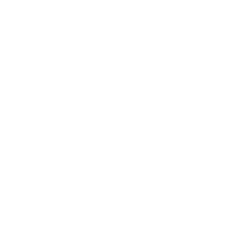 Budget